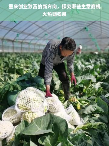 重庆创业致富的新方向，探究哪些生意商机火热赚钱易