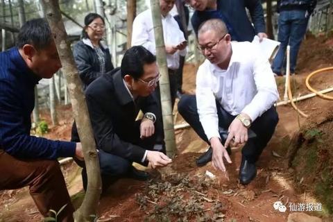 “金钱来袭”—— 女人瞄准的创新事业塑造多元增收方案