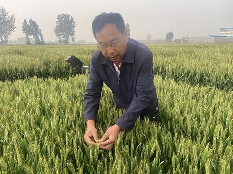 最新白条提现方法详解，操作指南与案例分享