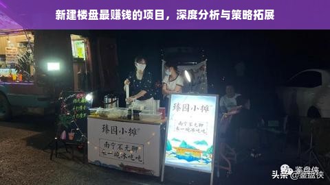新建楼盘最赚钱的项目，深度分析与策略拓展