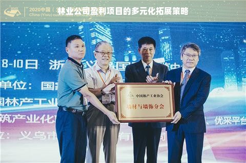 林业公司盈利项目的多元化拓展策略