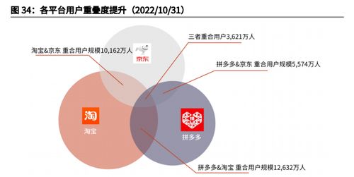 抖音月付额度提现攻略，商家如何查询与提现？
