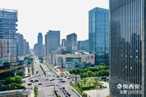 莒县产业兴旺之路，探寻赚钱新机遇