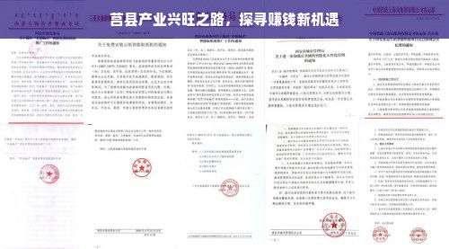 莒县产业兴旺之路，探寻赚钱新机遇
