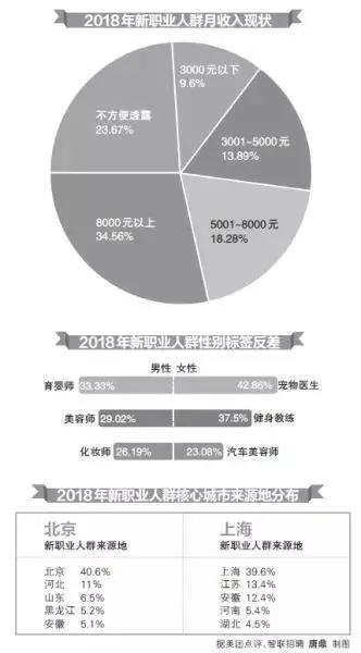 上海白领的赚钱之路，热门行业与高薪职业的深度解析