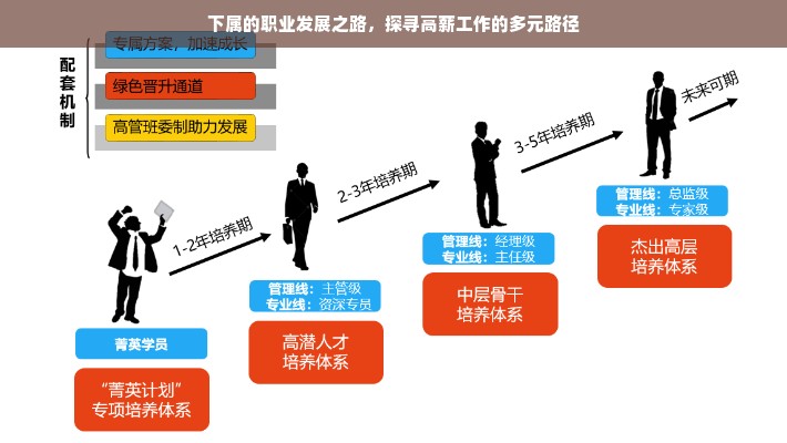 下属的职业发展之路，探寻高薪工作的多元路径