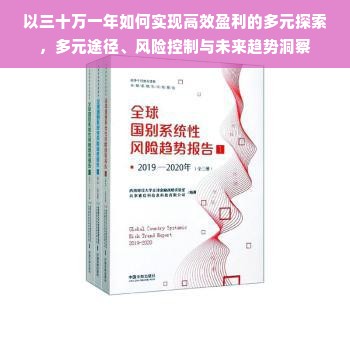 以三十万一年如何实现高效盈利的多元探索，多元途径、风险控制与未来趋势洞察