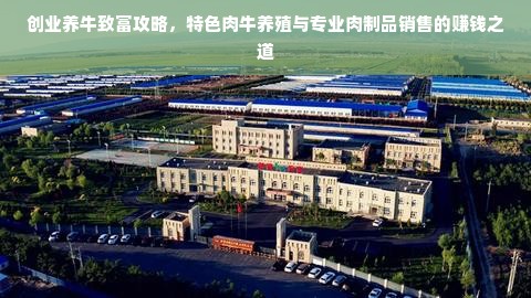 创业养牛致富攻略，特色肉牛养殖与专业肉制品销售的赚钱之道