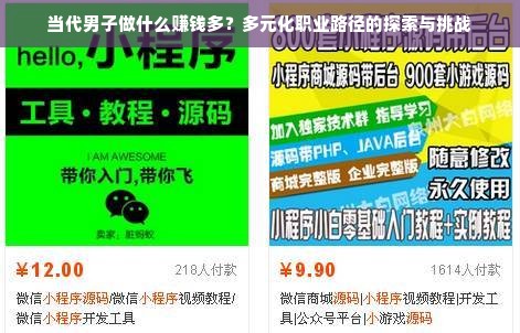 当代男子做什么赚钱多？多元化职业路径的探索与挑战