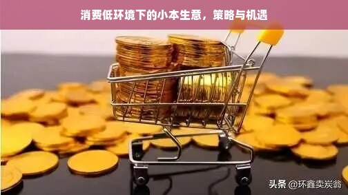 消费低环境下的小本生意，策略与机遇