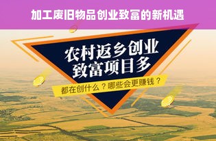 国外品牌母婴店，一站式购物体验与独特服务亮点