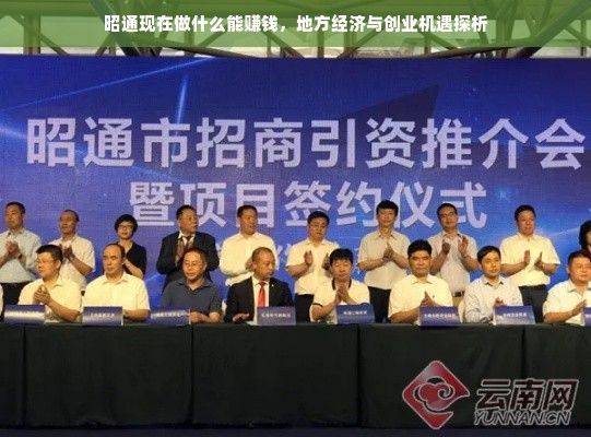 昭通现在做什么能赚钱，地方经济与创业机遇探析