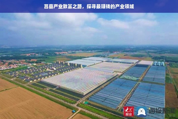 鹿优选额度提现与商家操作指南—如何优化额度管理？