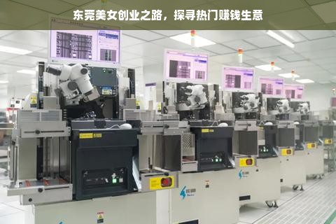 东莞美女创业之路，探寻热门赚钱生意