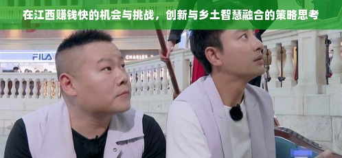 在江西赚钱快的机会与挑战，创新与乡土智慧融合的策略思考
