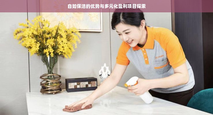 自如保洁的优势与多元化盈利项目探索