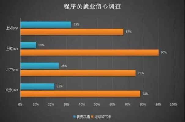 女程序员做什么赚钱，行业洞察与职业发展的多维度探讨