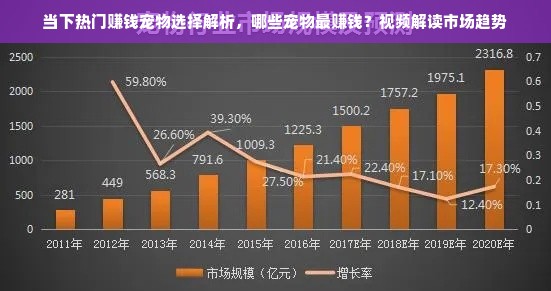 当下热门赚钱宠物选择解析，哪些宠物最赚钱？视频解读市场趋势