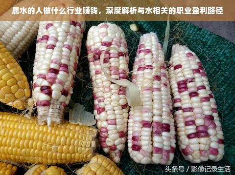 属水的人做什么行业赚钱，深度解析与水相关的职业盈利路径
