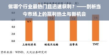 做哪个行业最热门且迅速获利？——剖析当今市场上的赢利热土与新机会