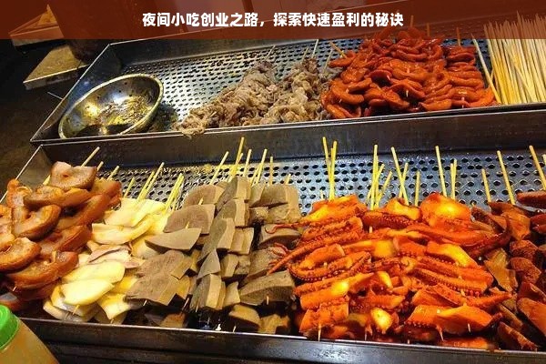 夜间小吃创业之路，探索快速盈利的秘诀