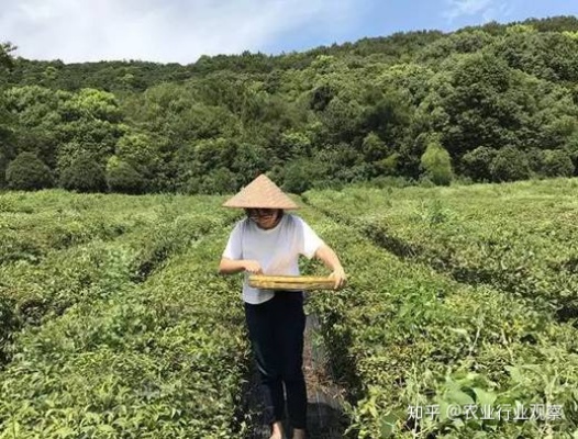 家电下乡电动车品牌大全—你的乡村出行好帮手