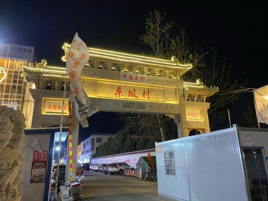 桑坡村的经济腾飞之路，多元产业的赚钱之道