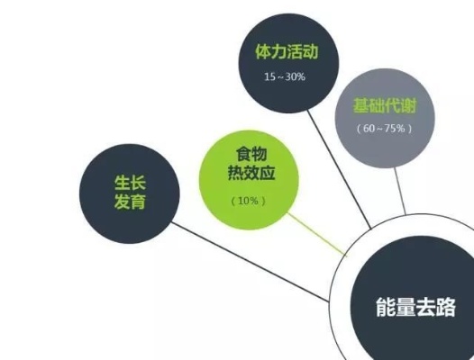 小身材蕴含巨大能量，多元途径赚钱之道