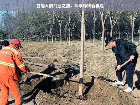 白蜡人的商业之路，探索赚钱新机遇