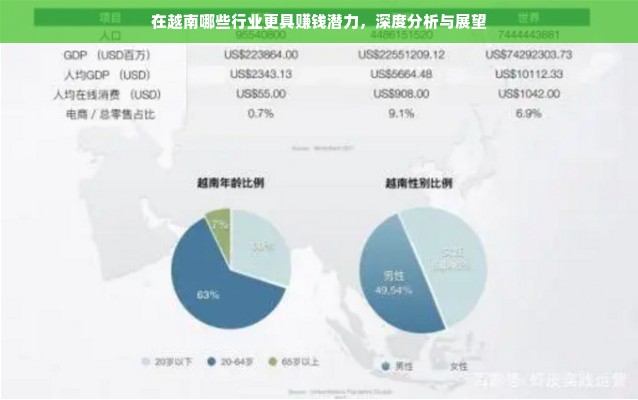 在越南哪些行业更具赚钱潜力，深度分析与展望