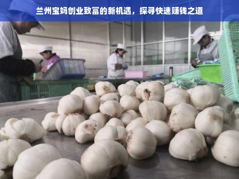 兰州宝妈创业致富的新机遇，探寻快速赚钱之道