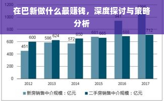 在巴新做什么最赚钱，深度探讨与策略分析