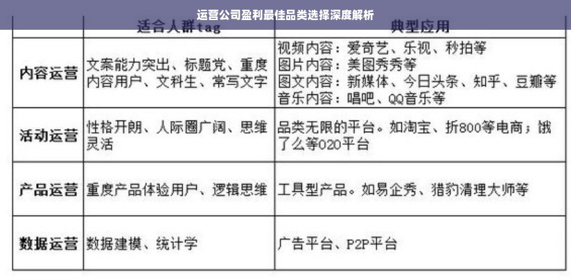 运营公司盈利最佳品类选择深度解析