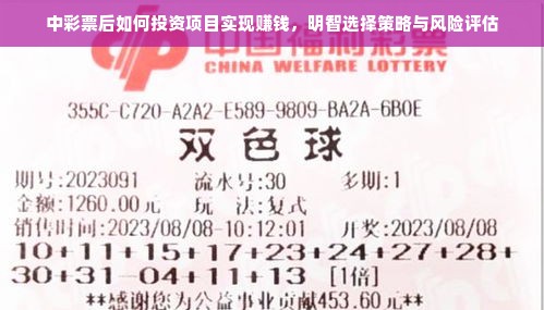 中彩票后如何投资项目实现赚钱，明智选择策略与风险评估