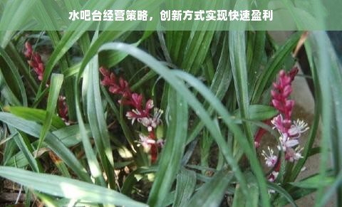 滨州靠谱的早教品牌加盟，开启孩子成长新篇章