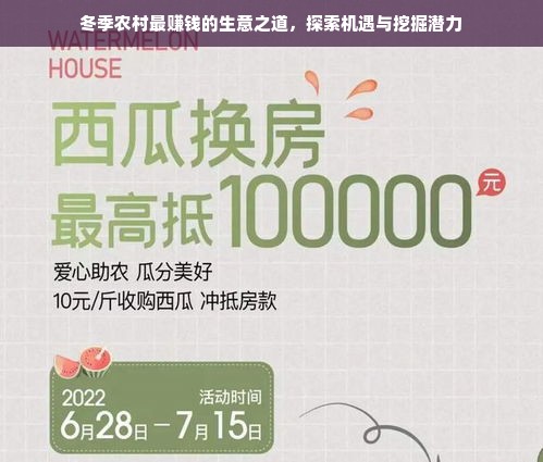 冬季农村最赚钱的生意之道，探索机遇与挖掘潜力