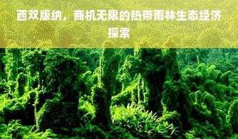 京东白条额度详解，如何提升额度及查看途径