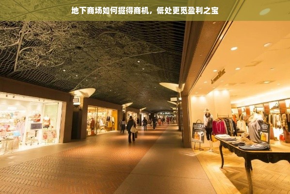 地下商场如何掘得商机，低处更觅盈利之宝