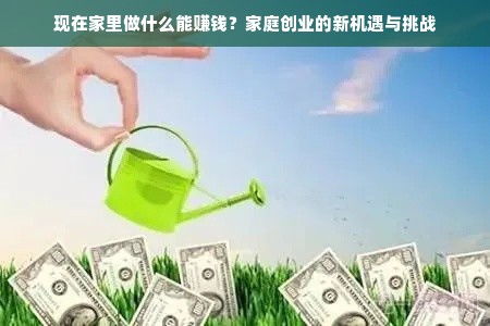 现在家里做什么能赚钱？家庭创业的新机遇与挑战