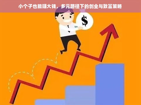 小个子也能赚大钱，多元路径下的创业与致富策略