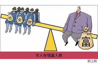 品牌母婴资源，深度解析与实例探究