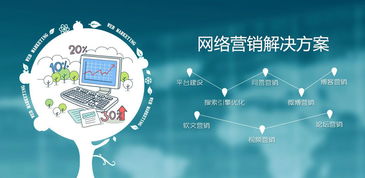 建个网站做什么能赚钱，策略、实践与成功案例分析