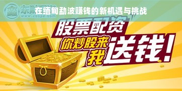 在缅甸勐波赚钱的新机遇与挑战
