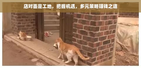 店对面是工地，把握机遇，多元策略赚钱之道