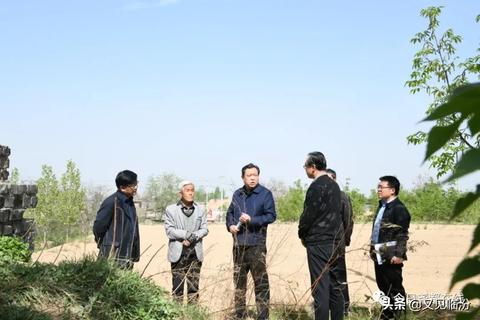 疫情期间小区内的多元创收策略，探索与行动