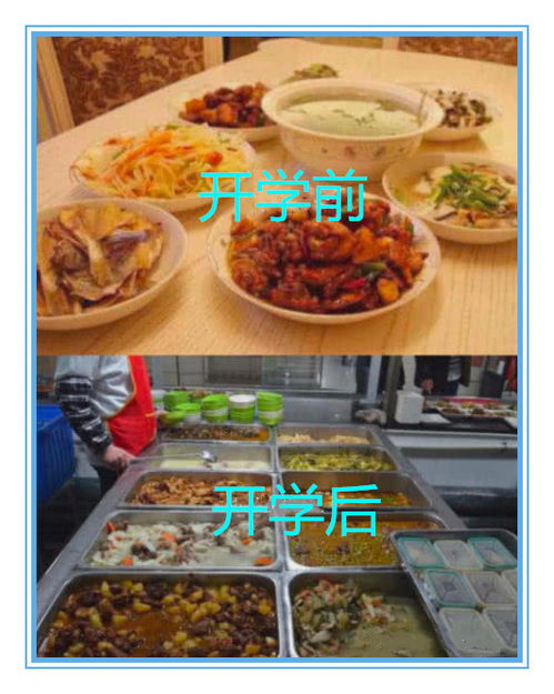 学生党能做什么菜赚钱，厨艺创业之路初探