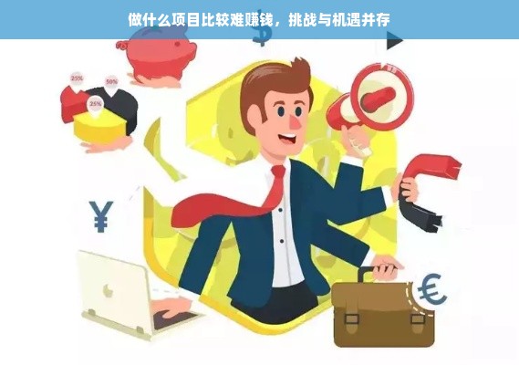 做什么项目比较难赚钱，挑战与机遇并存