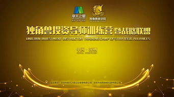 南京最火热的赚钱生意，把握机遇，共创辉煌