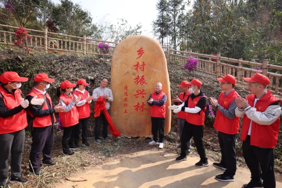 元气满满，肌肤焕发—盘点几款受欢迎的红酒面膜品牌及使用体验