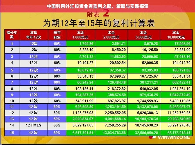 中国利用外汇投资业务盈利之路，策略与实践探索